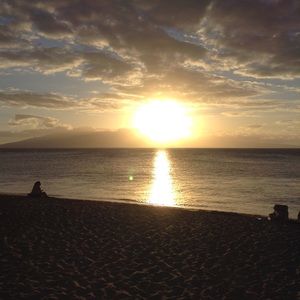 Meet your Posher, Margo